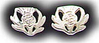 Small Sterling Silver Thistle Stud Earring