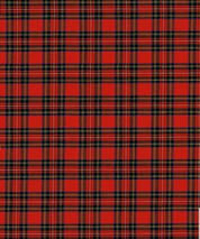 Royal Stewart Gift Wrap