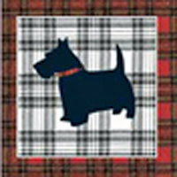 Scottie dog geetings card