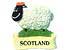 Scottish Magnets