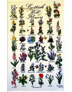 Scottish Wildflowers Tea Towel